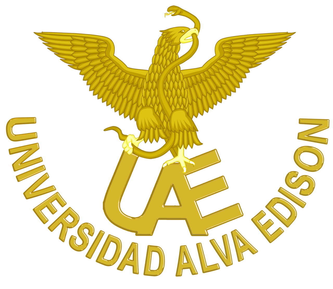 Universidad Alva Edison